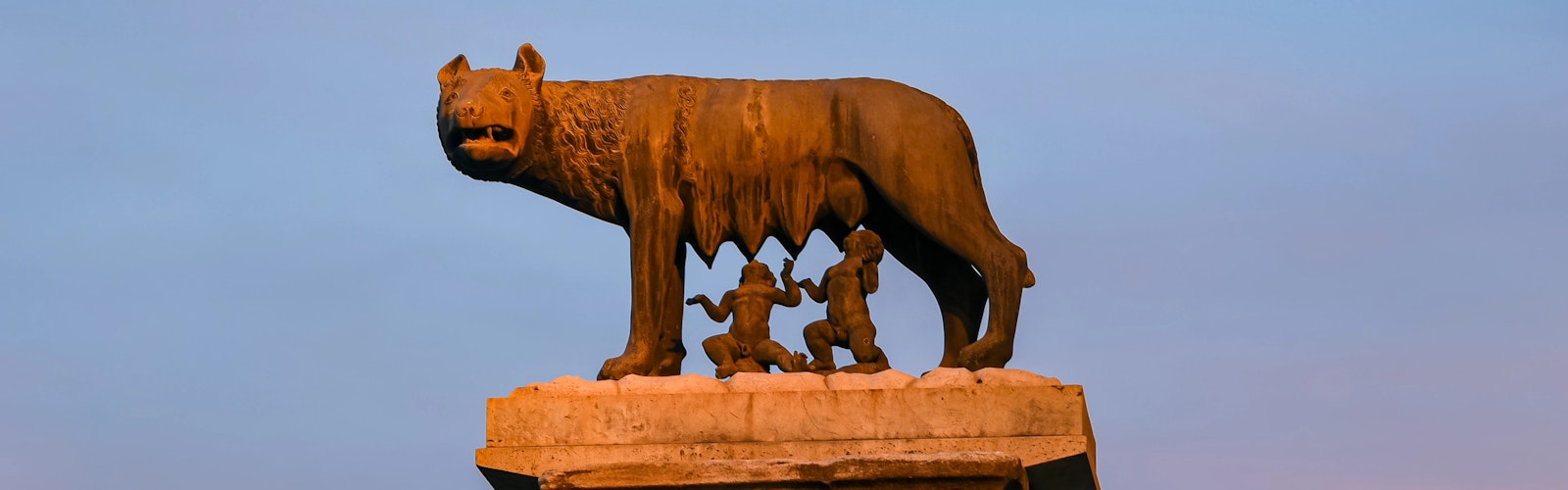 Lion vs Wolf article image Lion vs Wolf article image