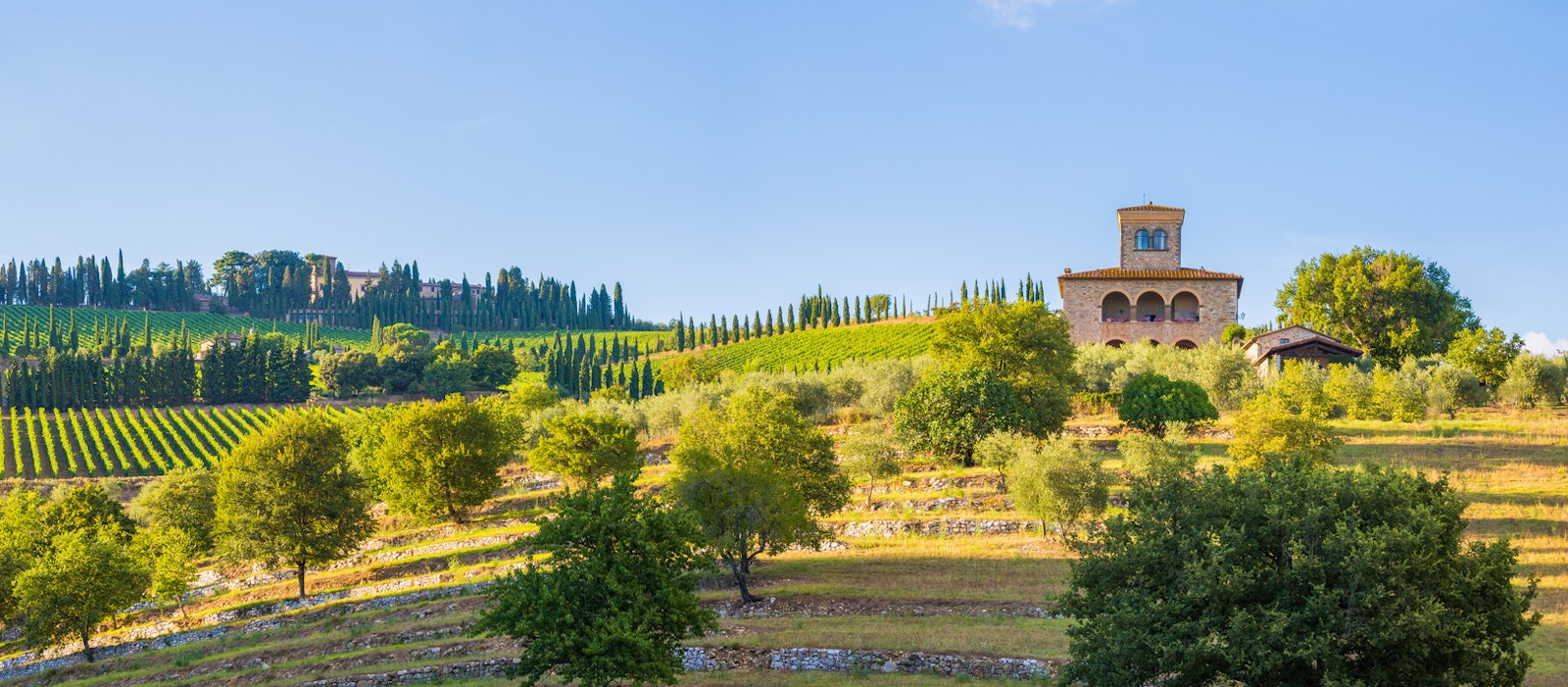 Chianti Countryside Private Tours image Chianti Countryside Private Tours image