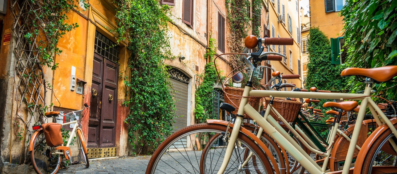 On Wheels Private Tours image On Wheels Private Tours image