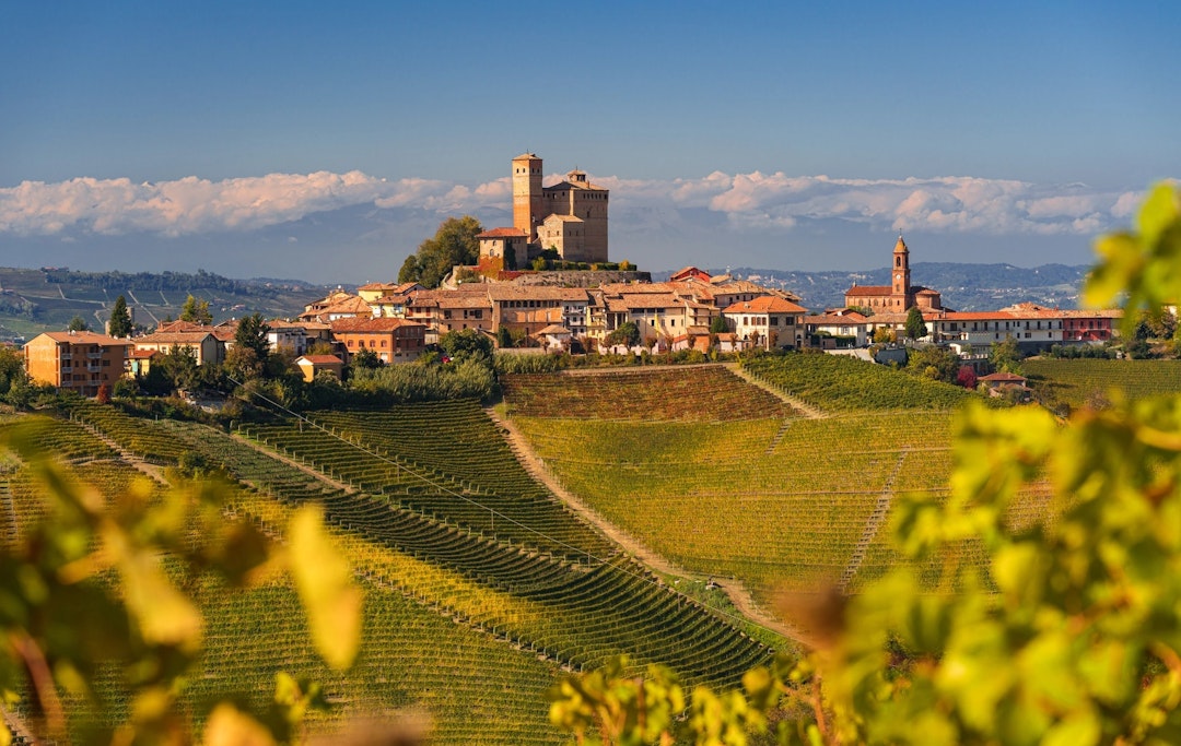 From Milan: Day Trip to Langhe - Barolo & Barbaresco Wineries Experience From Milan: Day Trip to Langhe - Barolo & Barbaresco Wineries Experience