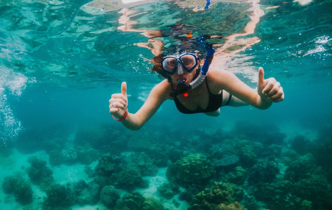 Sardinia: Alghero Snorkeling Tour with a Marine Biologist Sardinia: Alghero Snorkeling Tour with a Marine Biologist