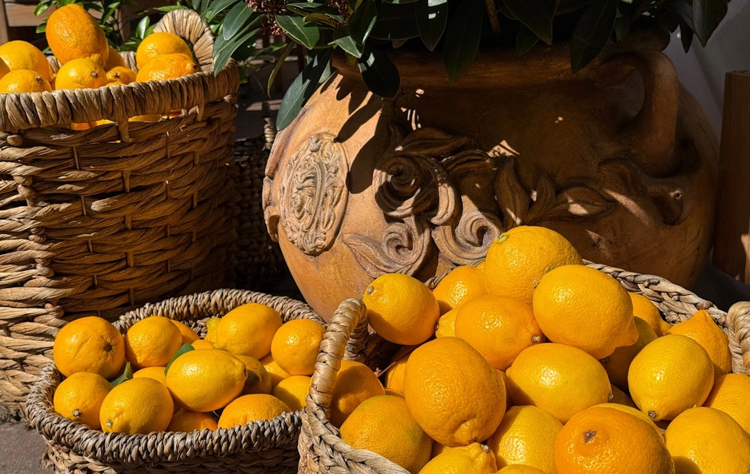 Amalfi Limoncello Making Experience Amalfi Limoncello Making Experience