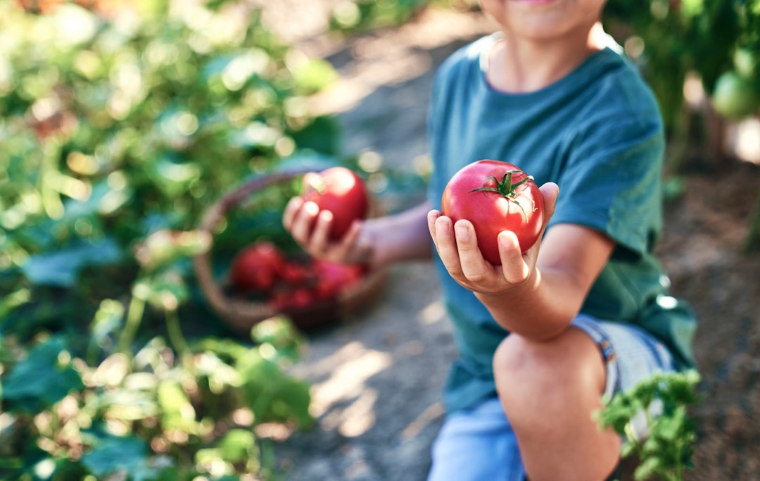 From Florence: Chianti Private Cooking Class in a Convent From Florence: Chianti Private Cooking Class in a Convent
