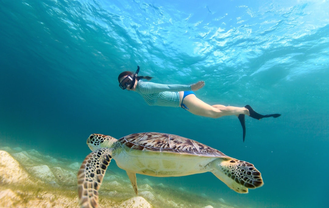 Sardinia: Alghero Half Day Private Snorkeling Tour Sardinia: Alghero Half Day Private Snorkeling Tour