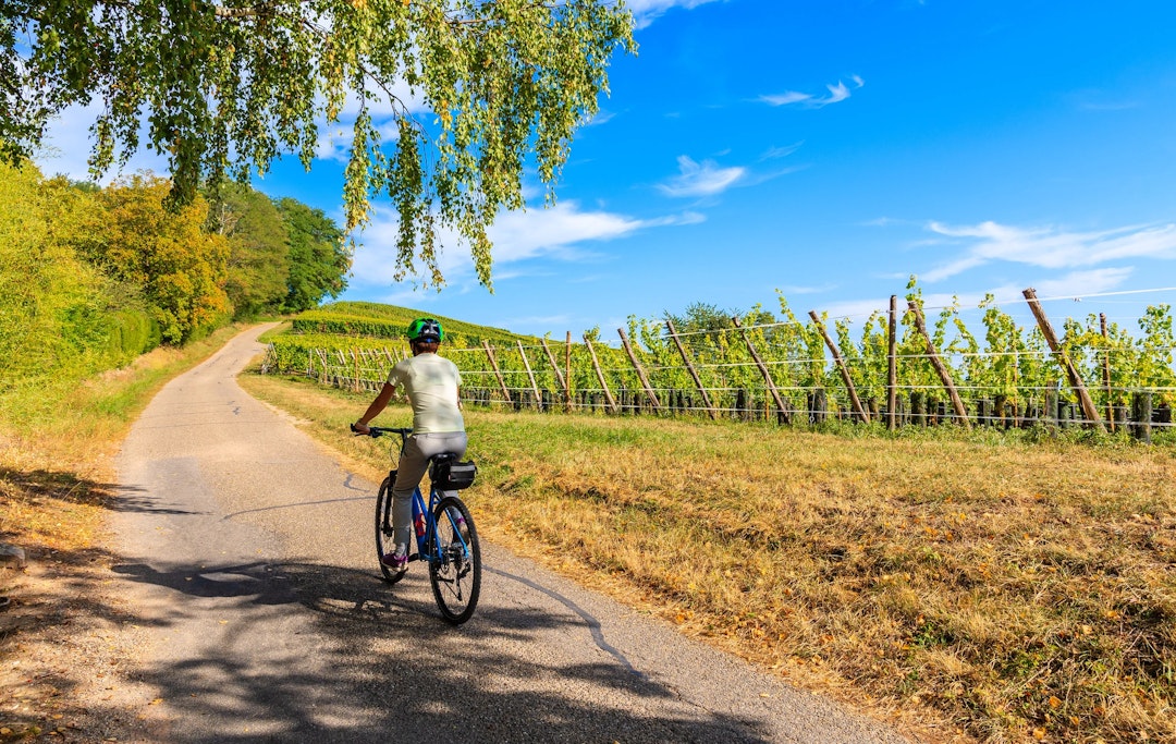 Cinque Terre: E-Bike Private Experience with Wine Tasting in a Vineyard Cinque Terre: E-Bike Private Experience with Wine Tasting in a Vineyard